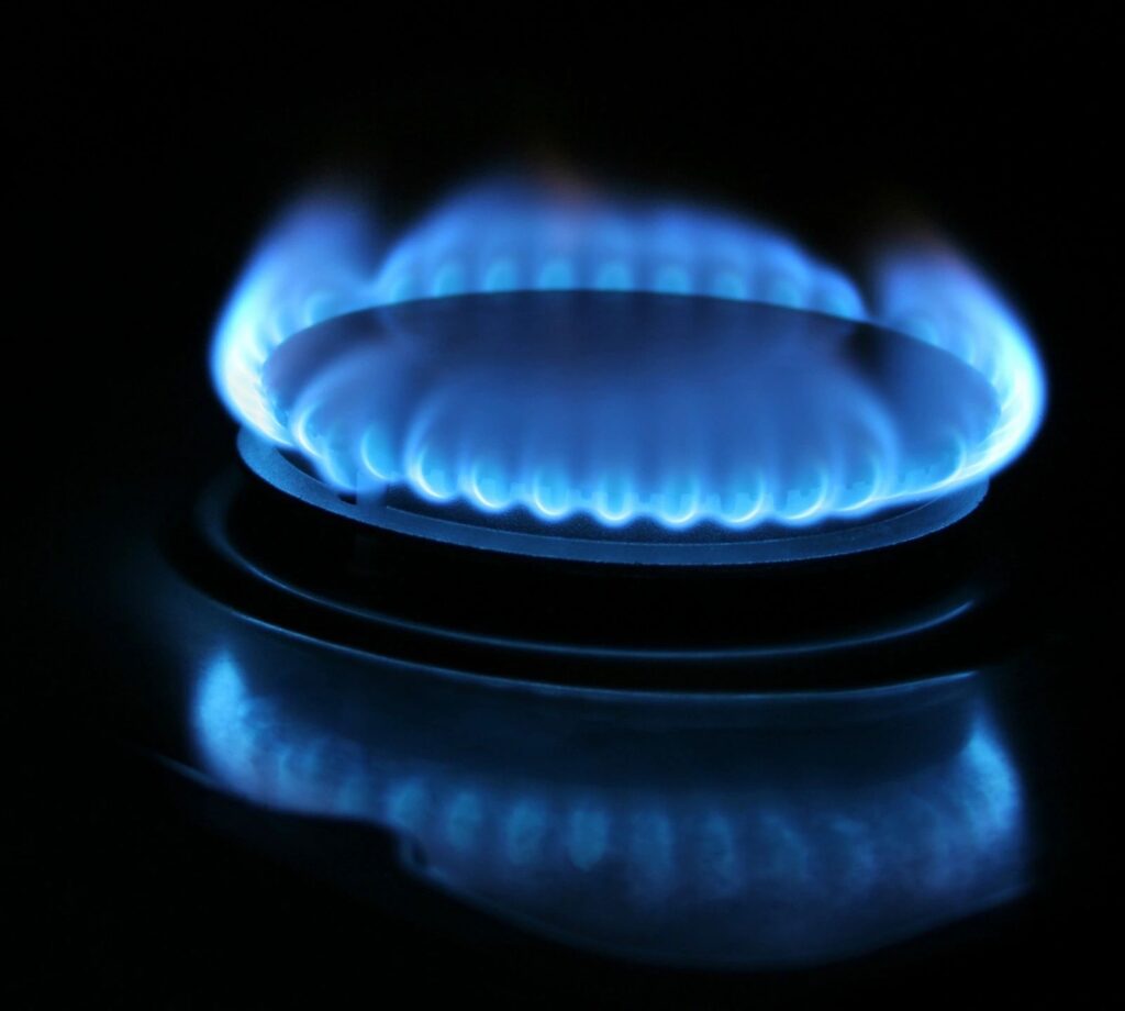 RFP: Renewable Natural Gas Project